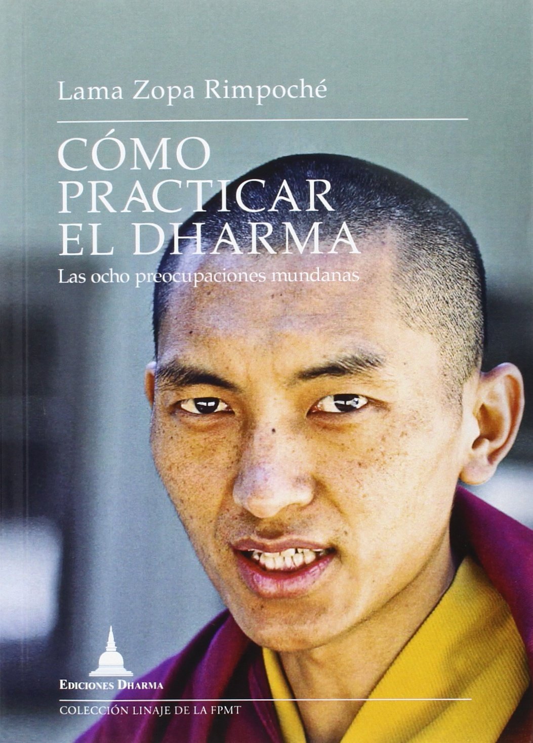 Cómo prácticar el dharma : las ocho preocupaciones mundanas book