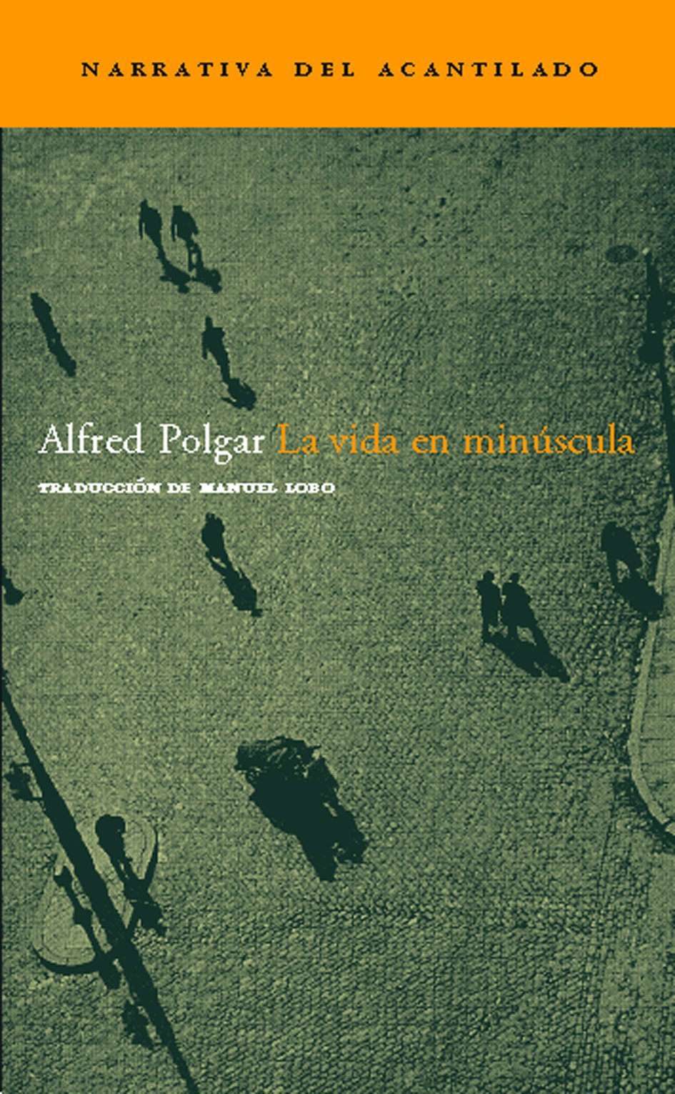 La vida en minúscula Contemporary literature