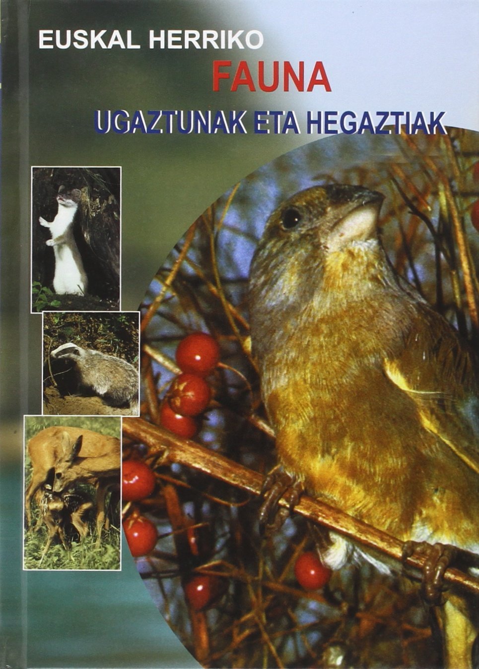 Euskal Herriko Fauna - Ugaztunak Eta Hegaztiak Books