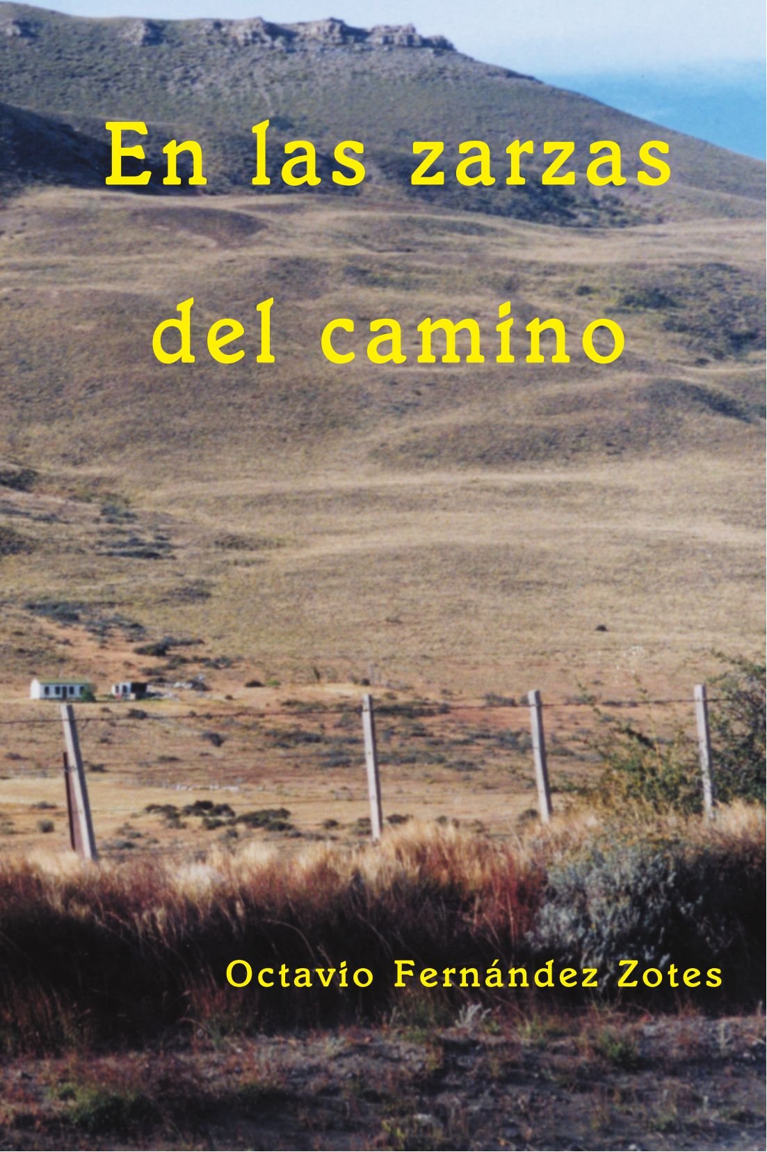 En las zarzas del camino Books