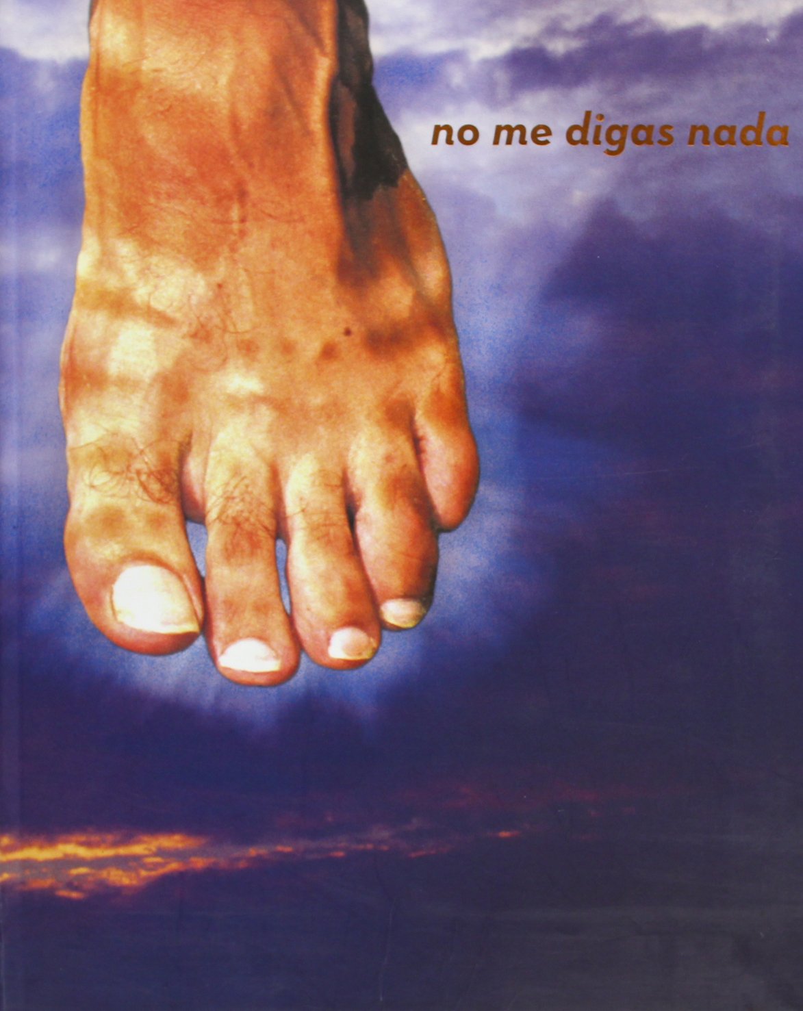 Pazos Moya, C: No me digas nada = Tell me nothing book
