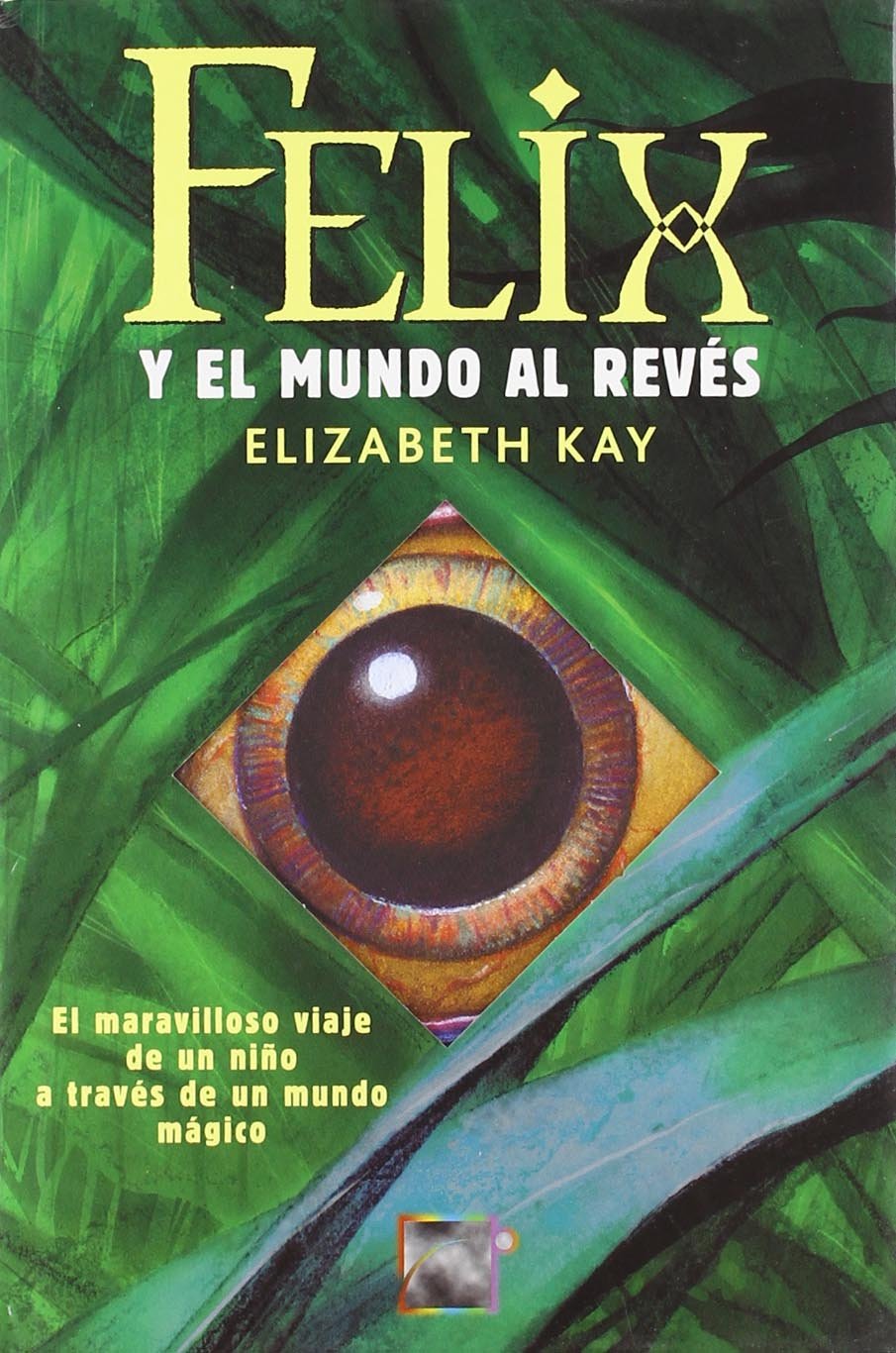 Felix y el mundo al reves/ The Divide book