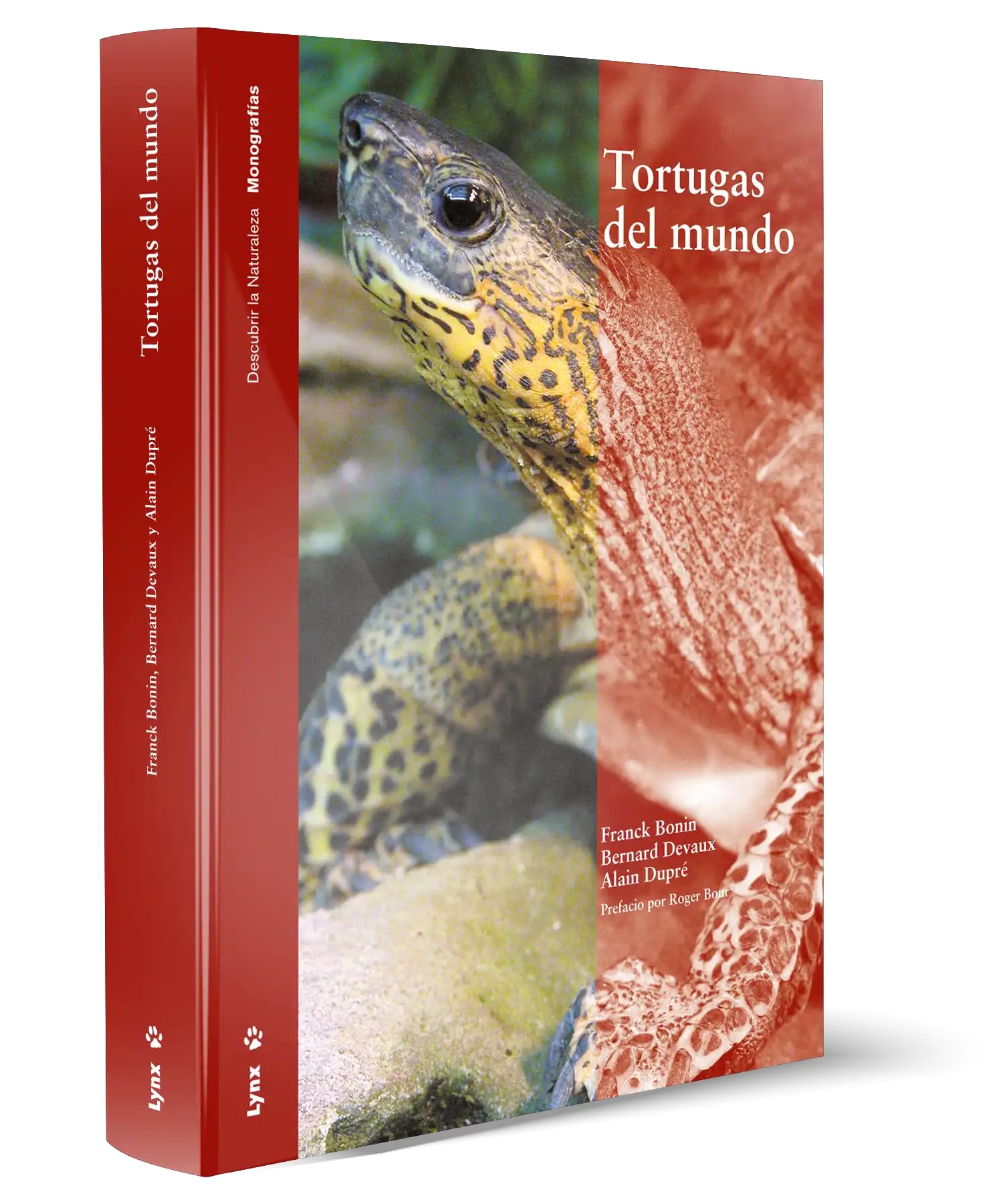 Tortugas del Mundo book