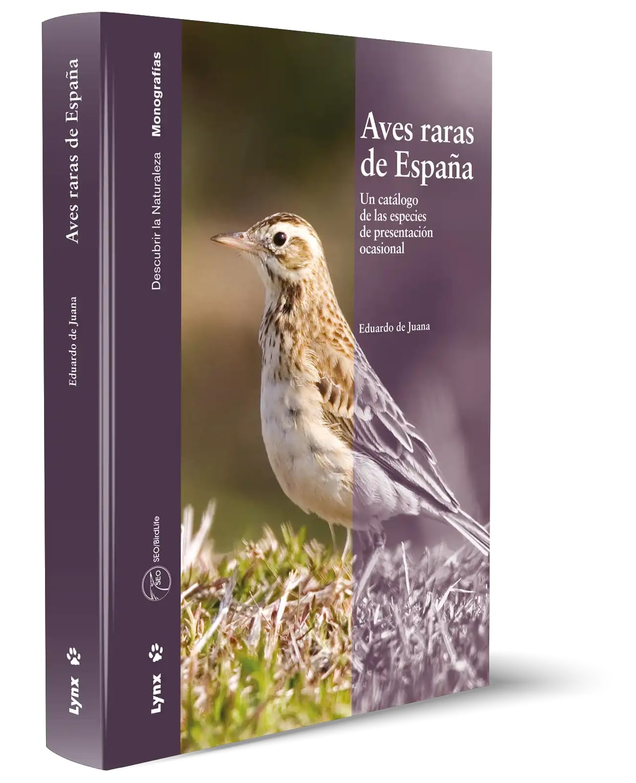 Aves raras de España : un catálogo de las especies de presentación ocasional (Descubrir la Naturaleza) Business & Technology