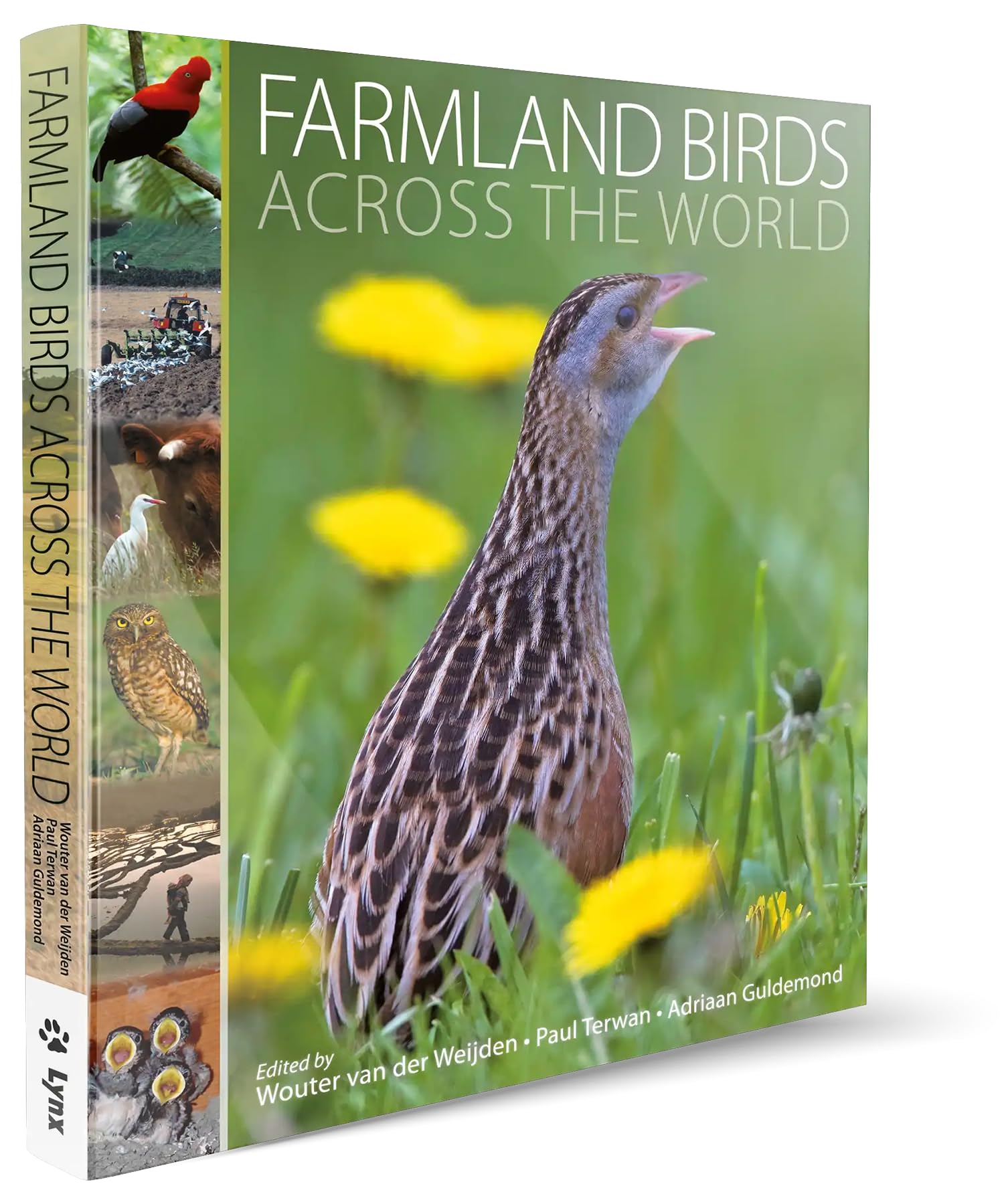 Farmland birds across de world: an analysis of the 2008 IUCN Red List of Threatened Species Mathematics