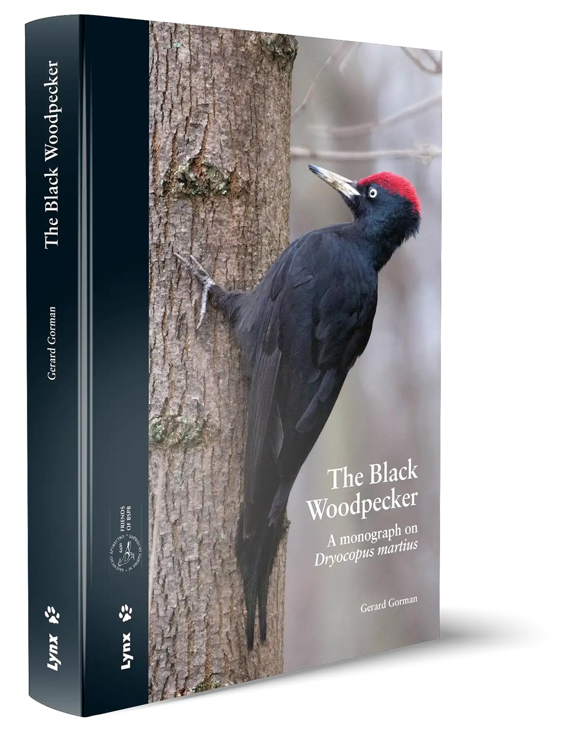 The Black Woodpecker : a monograph on Dryocopus martius Pets