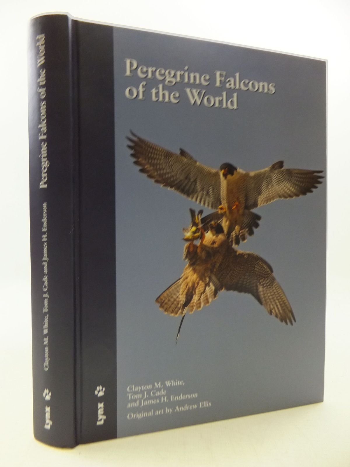 Peregrine falcons of the world Business & Technology