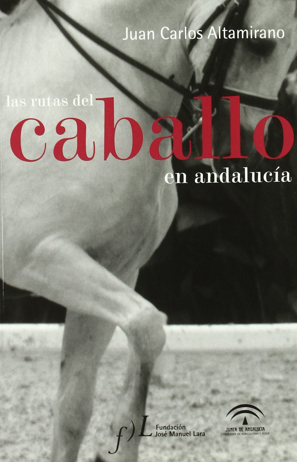 Las rutas del caballo en Andalucía book