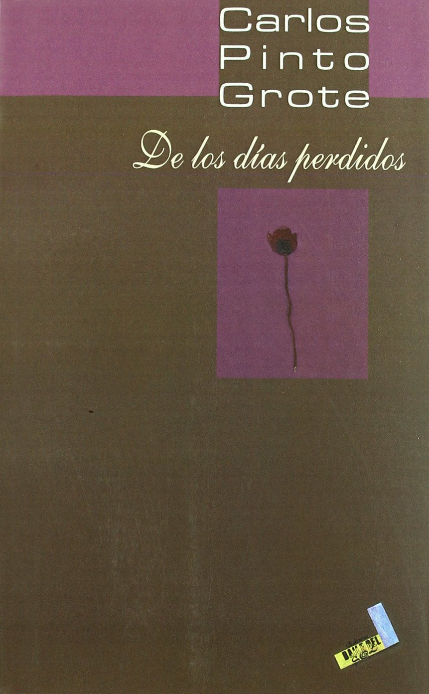 Pinto Grote, C: Los días perdidos Non-fiction