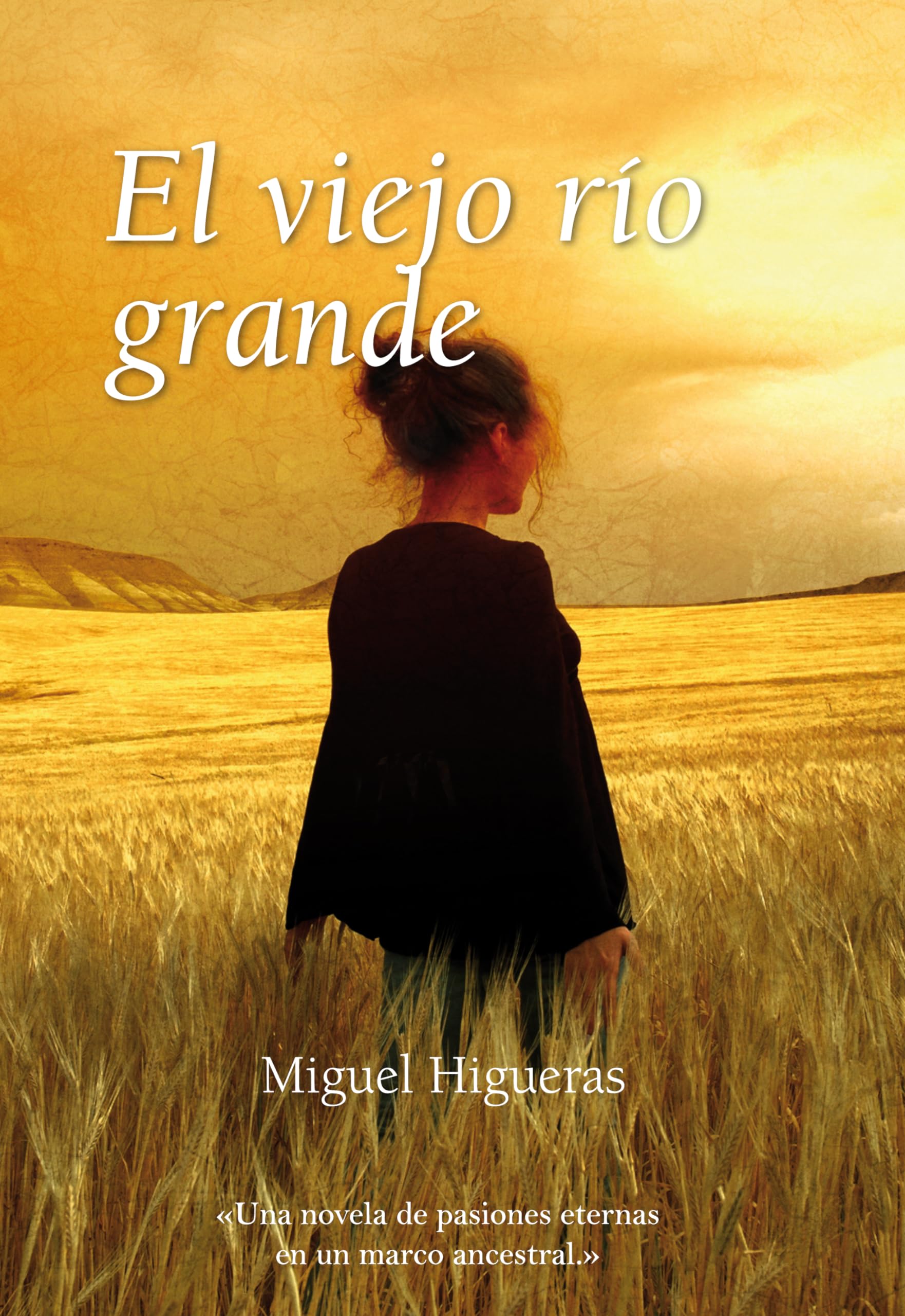 El Viejo Rio Grande book