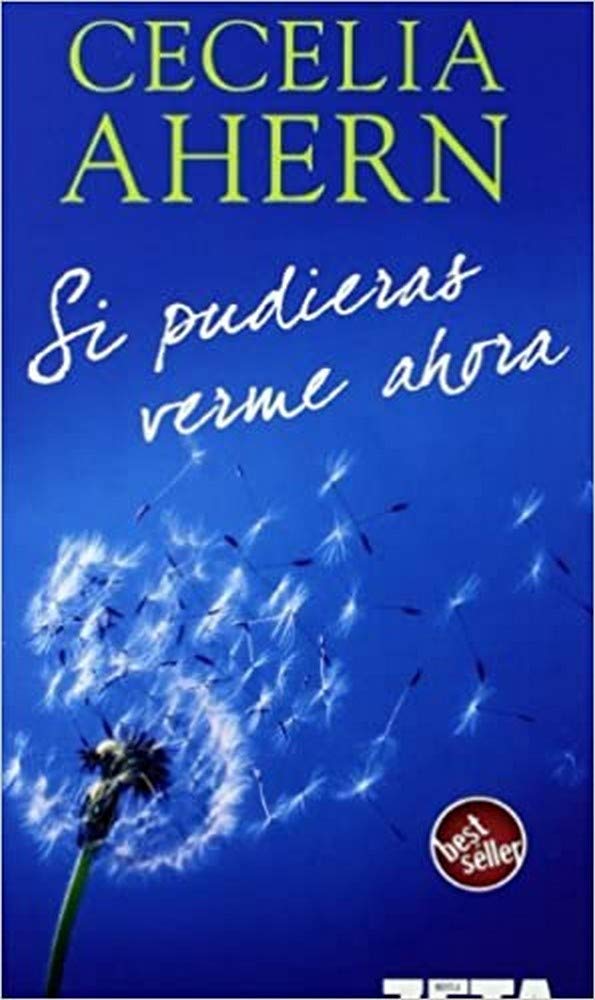 Si pudieras verme ahora (B DE BOLSILLO, Band 603001) Contemporary Romance