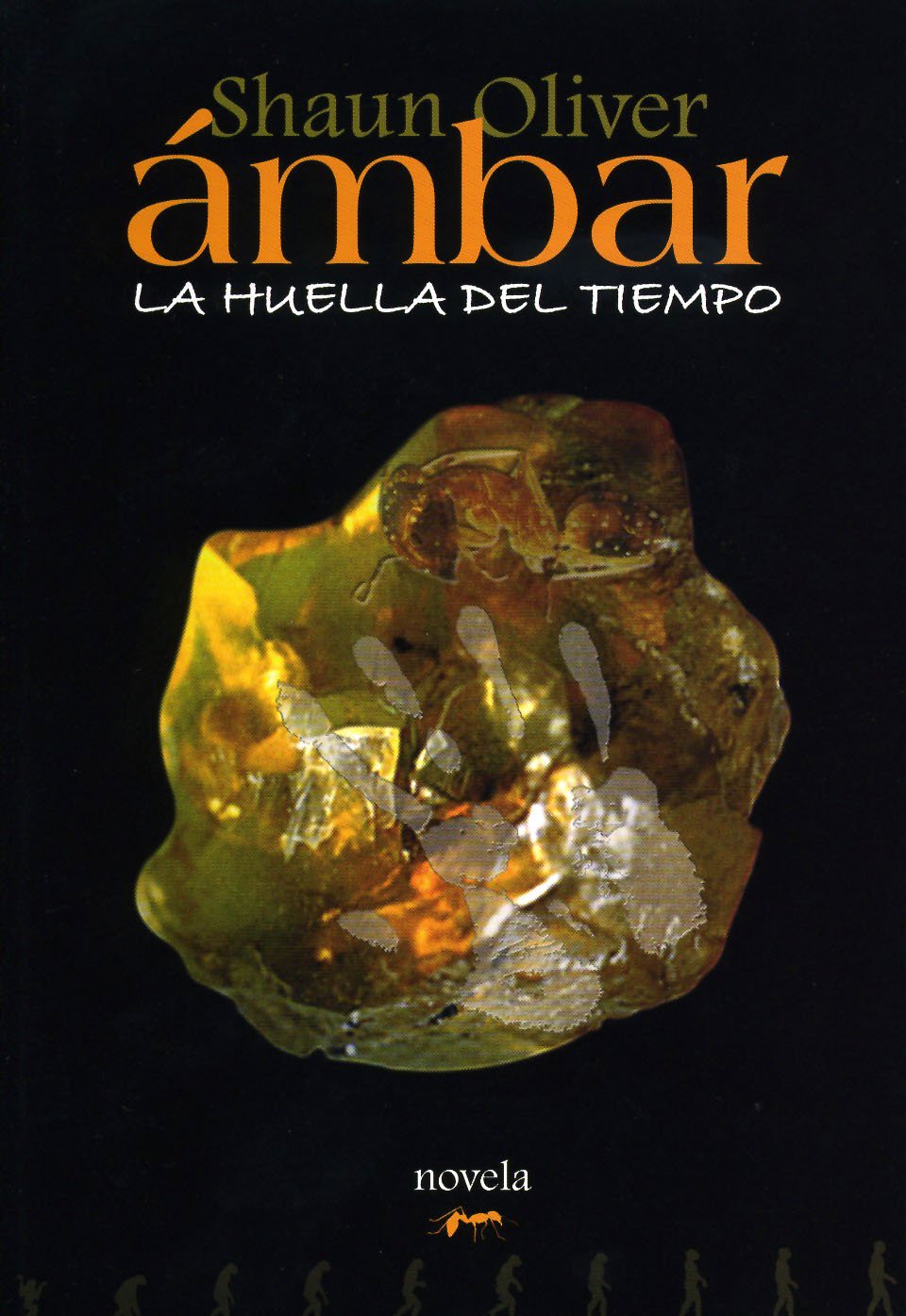Ambar - la huella del tiempo book