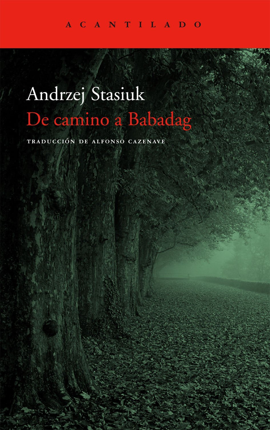De camino a Babadag (El Acantilado, Band 163) Contemporary literature