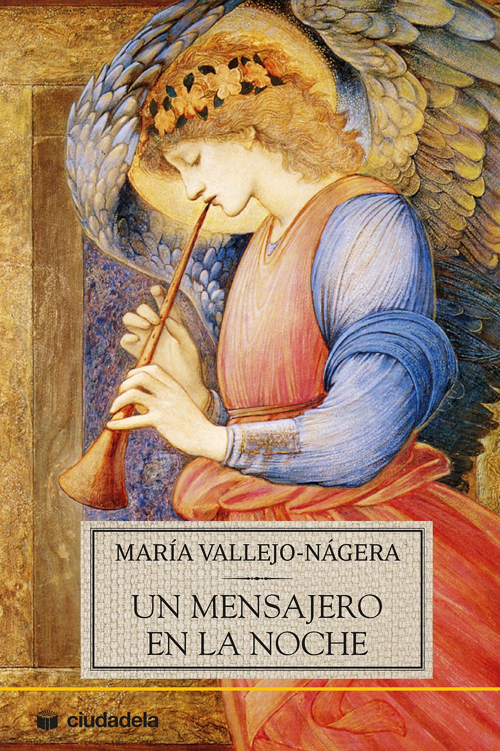 Un mensajero en la noche book