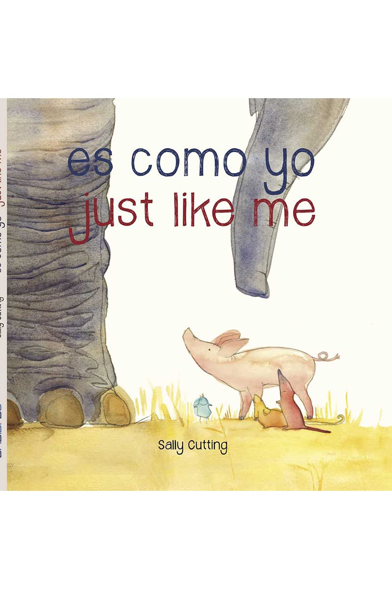 Es como yo = Just like me Social Sciences Books
