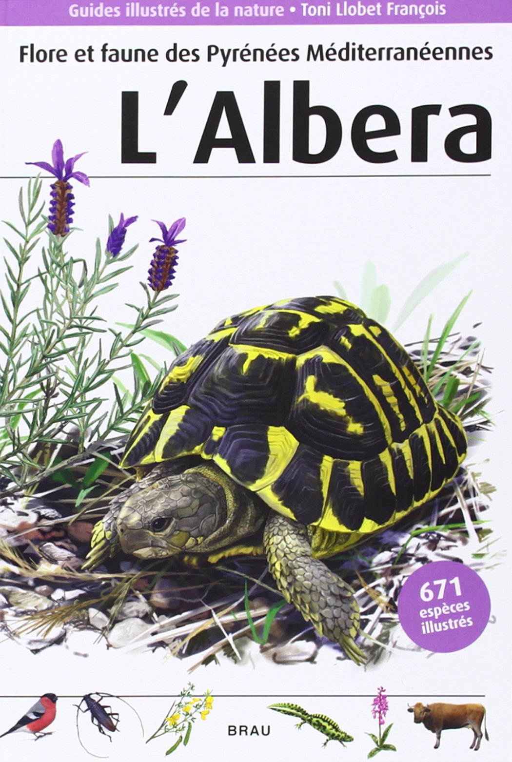 Flore et faune des Pyrénées Mediterranéennnes. L'Albera book
