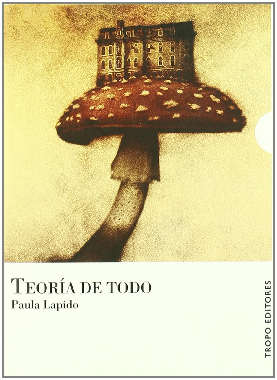Teoria de todo / Theory of Everything book