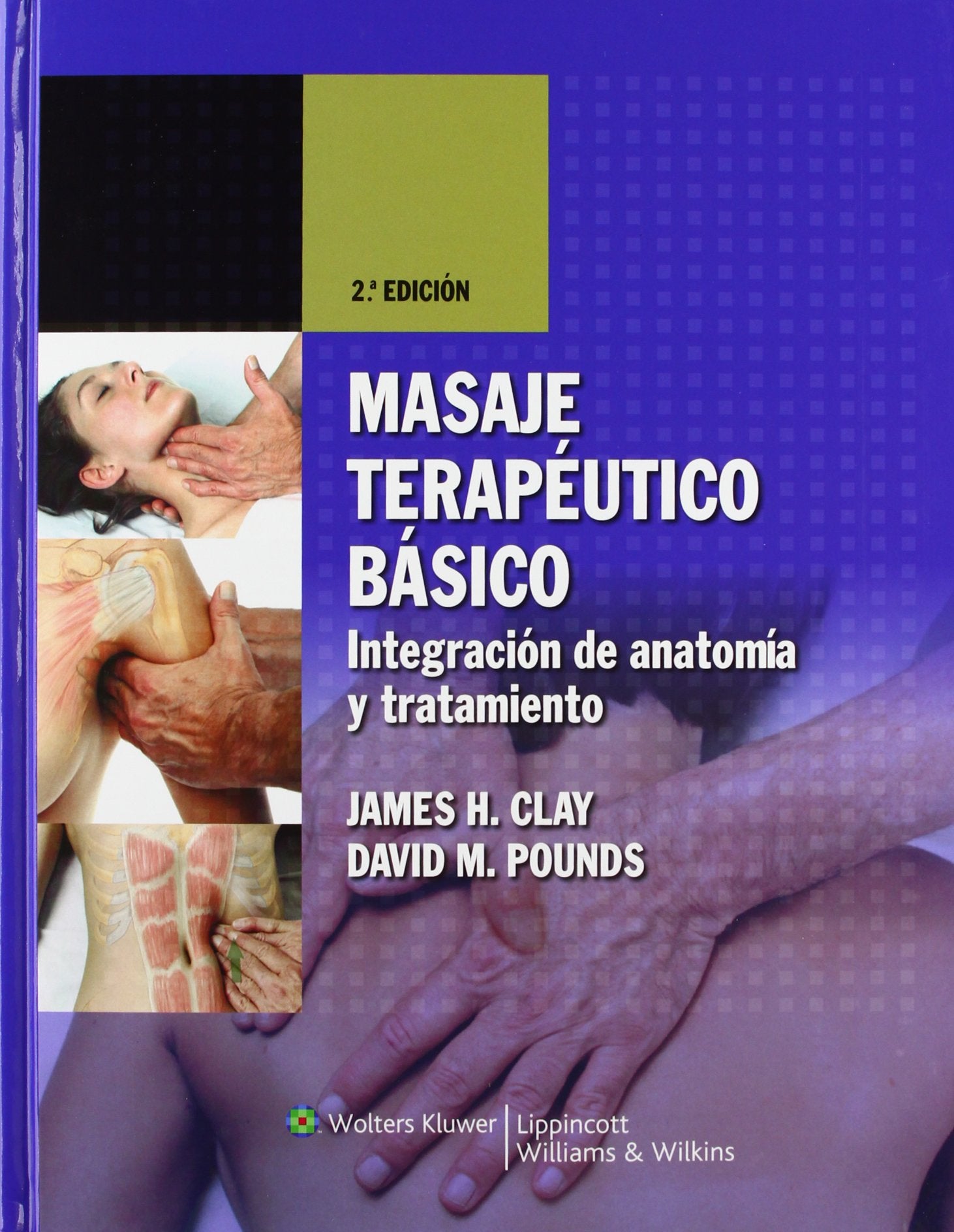 Masaje terapeutico basico: Integracion De Anatomia Y Tratamiento book