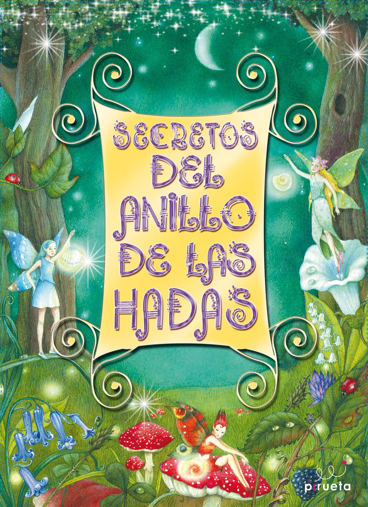 Secretos del anillo de las hadas/ Secrets of the Fairy Ring: Libro Cofre/ Activity Kit book