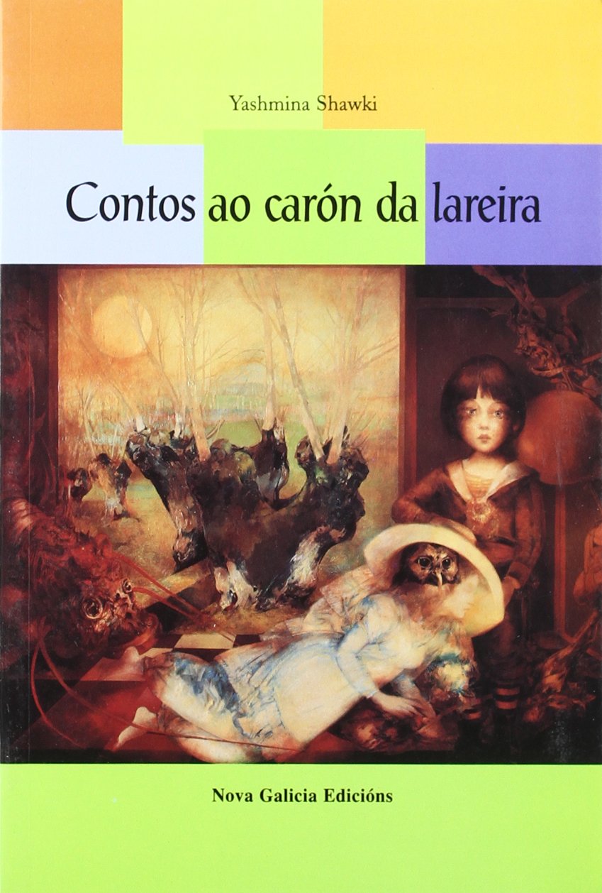 Contos ao carón da lareira book