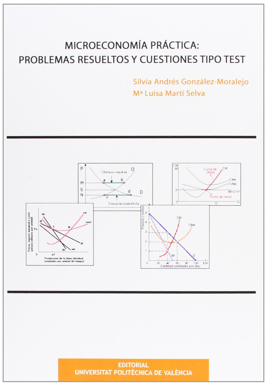 MICROECONOMÍA PRÁCTICA: PROBLEMAS RESUELTOS Y CUESTIONES TIPO TEST book