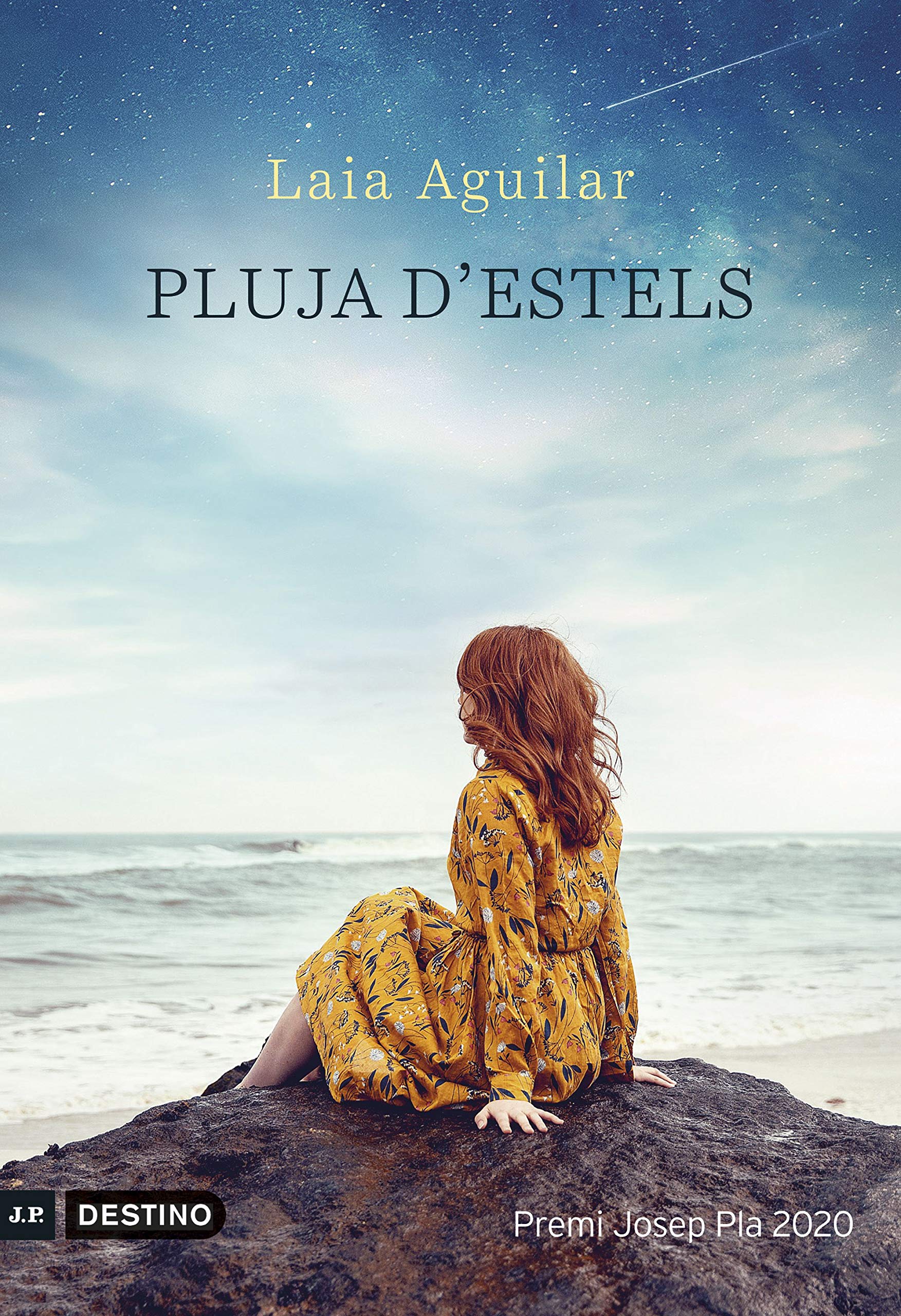 Pluja d'estels: Premi Josep Pla 2020 book