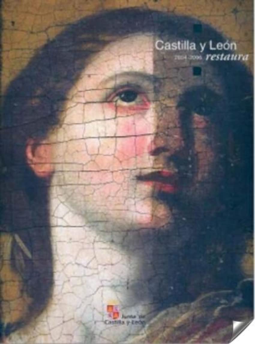 Vega Cubero, M: Castilla y León restaura, 2004-2006 book