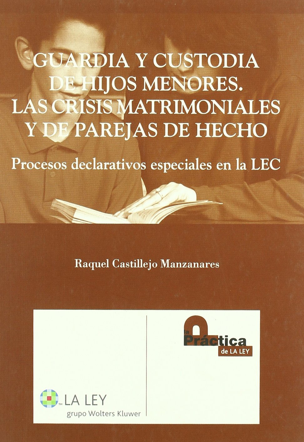 Castillejo Manzanares, R: Proceso declarativo especial de gu Law
