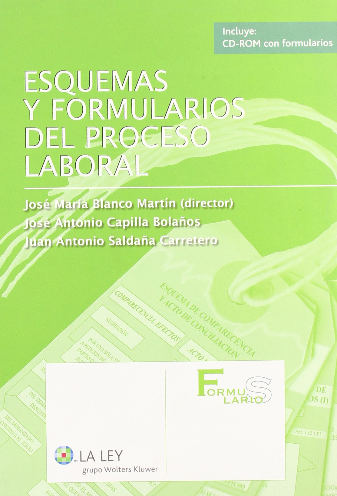 Esquemas y formularios del proceso laboral book