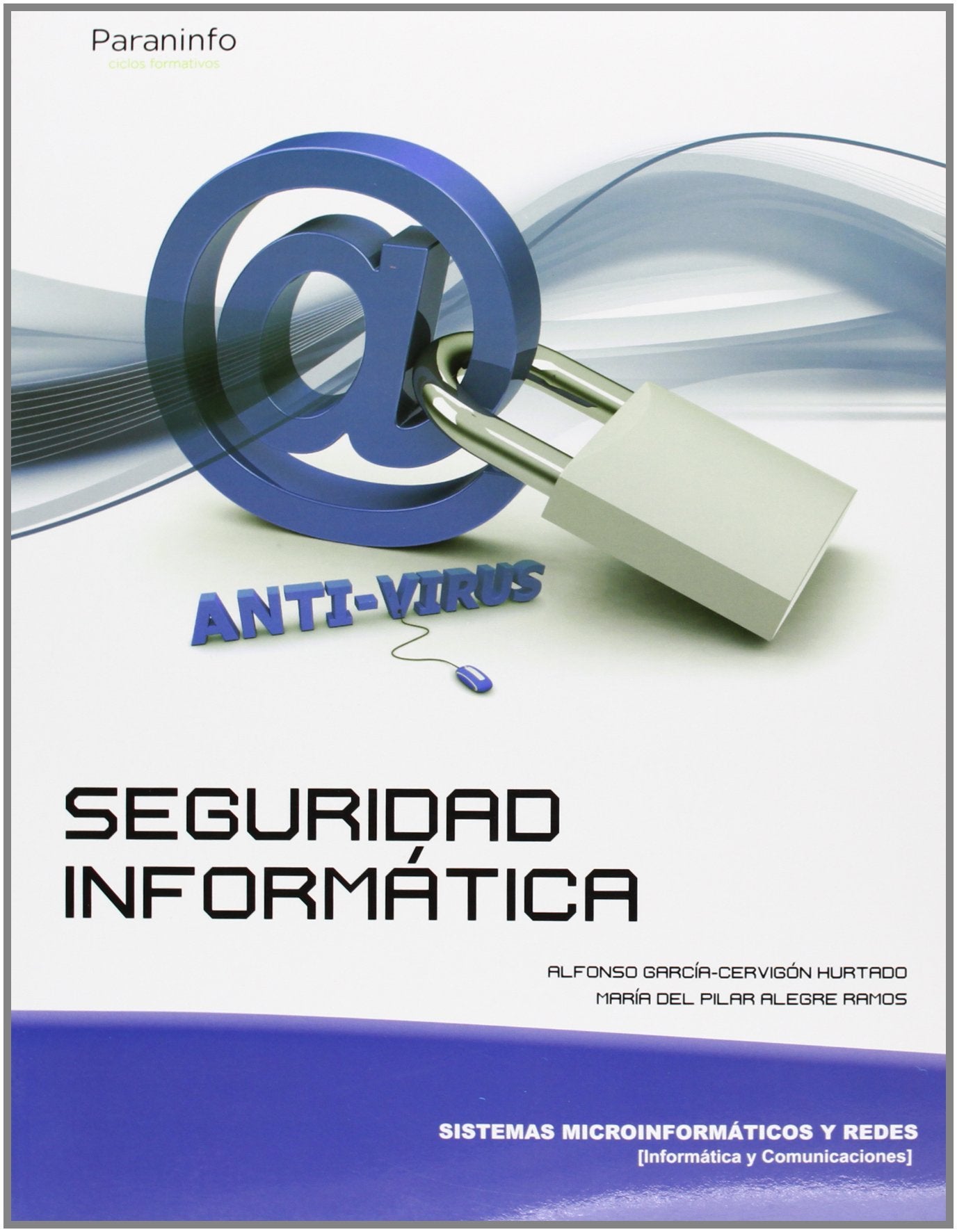 SEGURIDAD INFORMATICA ED.11 Paraninfo (Informática y Comunicaciones) Non-fiction