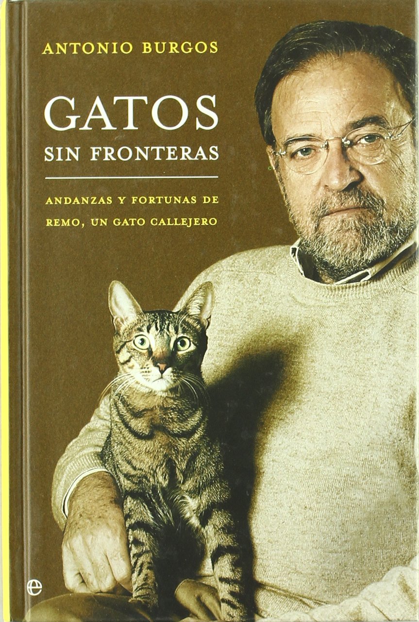 Gatos sin fronteras: Andanzas y Fortunas de Remo, Un Gato Callejero Humour & Satire