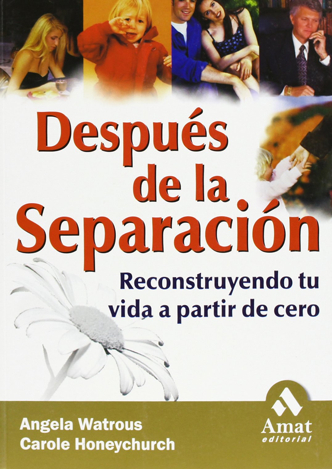 Después de la separación : reconstruyendo vida a partir de cero: Reconstruyendo Tu Vida a Partir de Cero Social Sciences