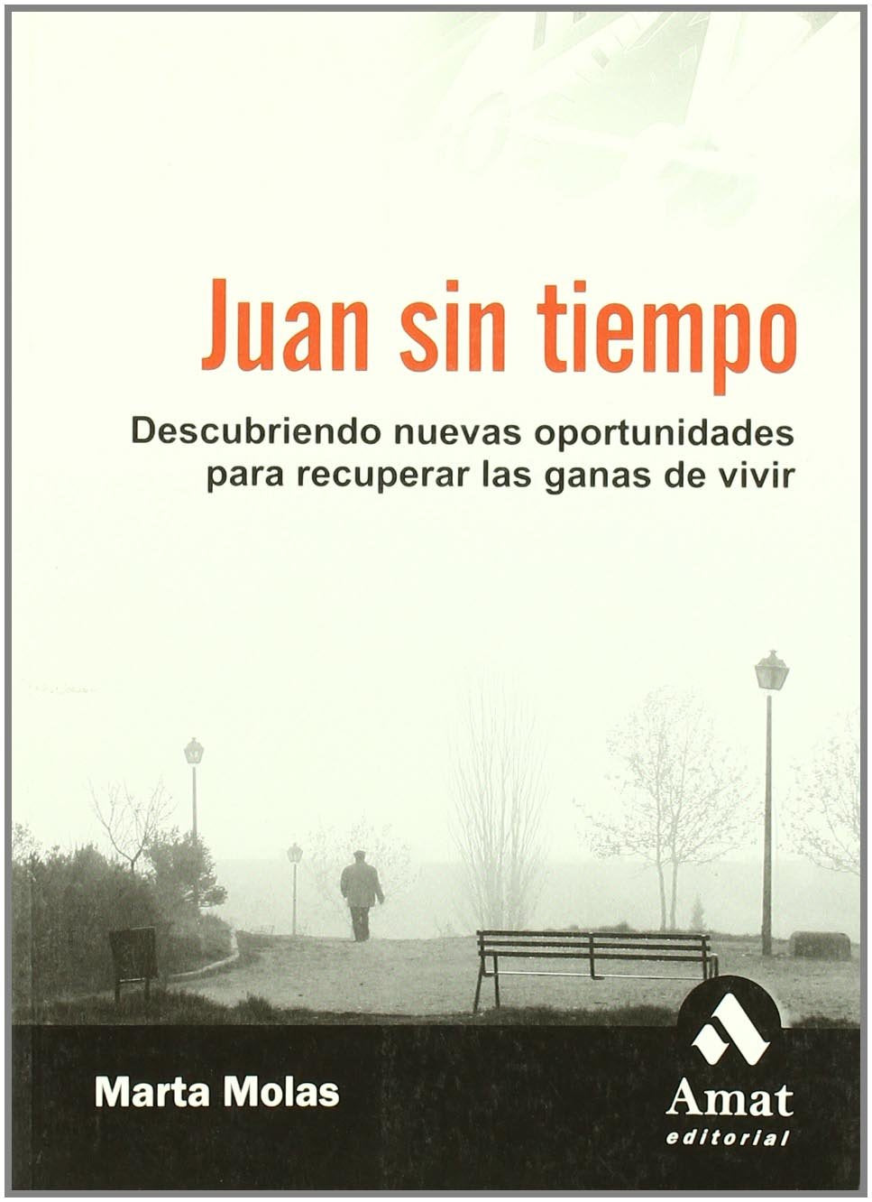 Juan sin tiempo: Descubriendo nuevas oportunidades para recuperar las ganas de vivir book