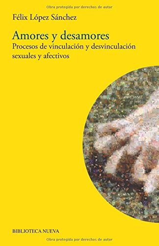 Amores y desamores : procesos de vinculación y desvinculación sexuales y afectivos book