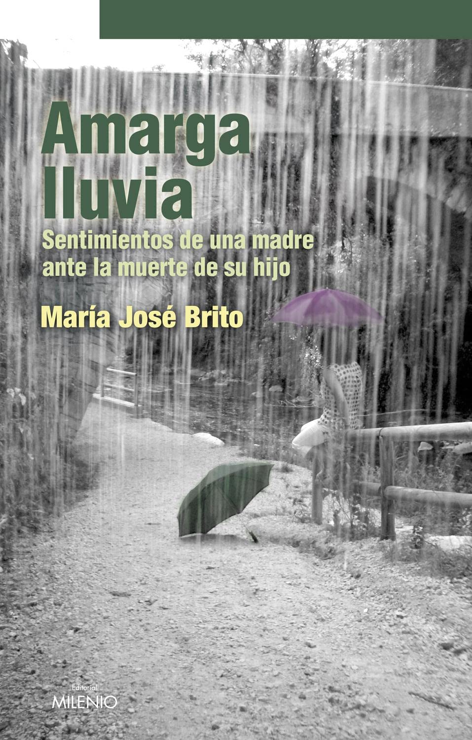 Amarga lluvia : sentimientos de una madre ante la muerte de su hijo book