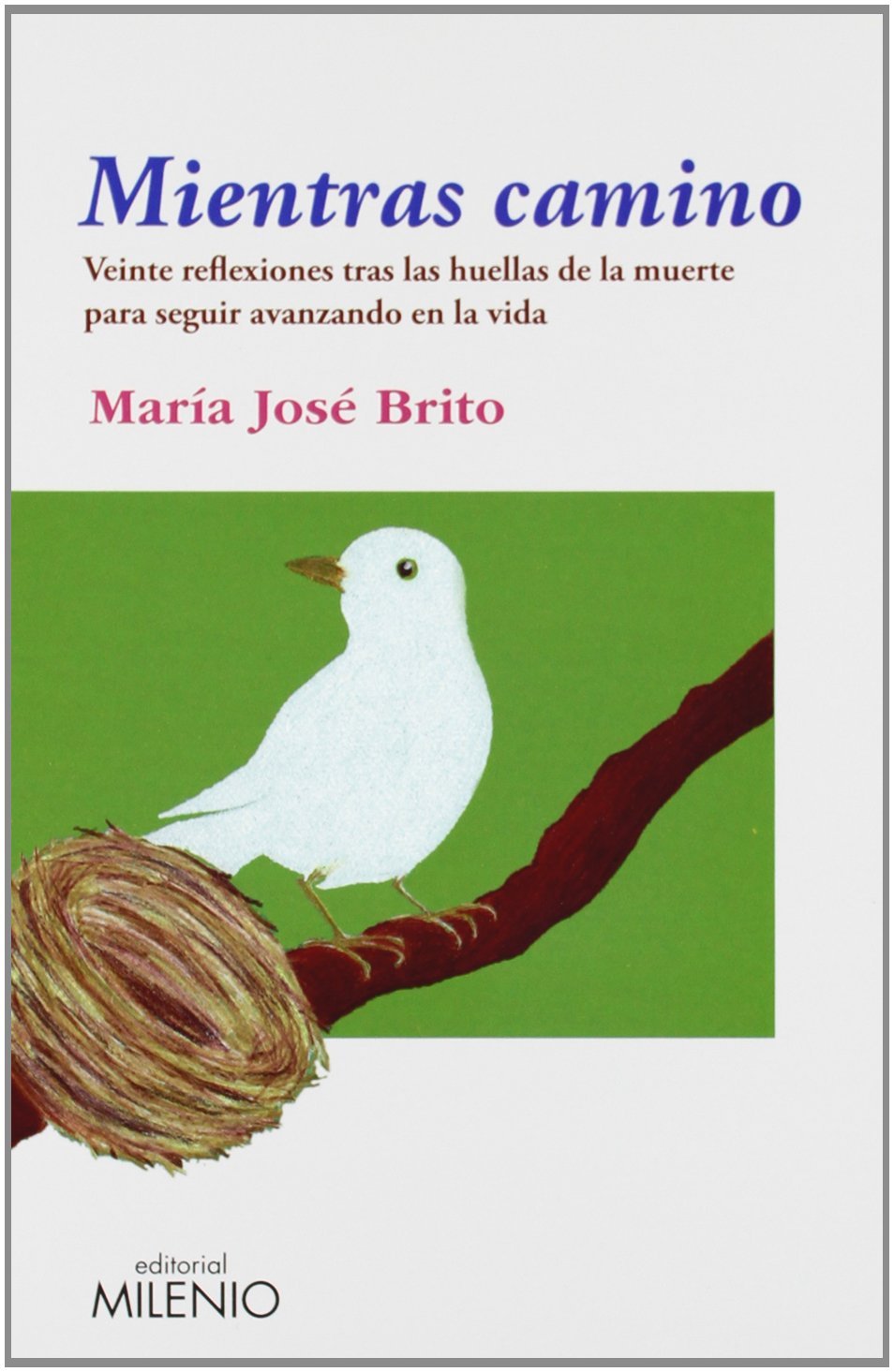 Mientras camino : veinte reflexiones tras las huellas de la muerte para seguir avanzando en la vida (Ensayo, Band 50) Books
