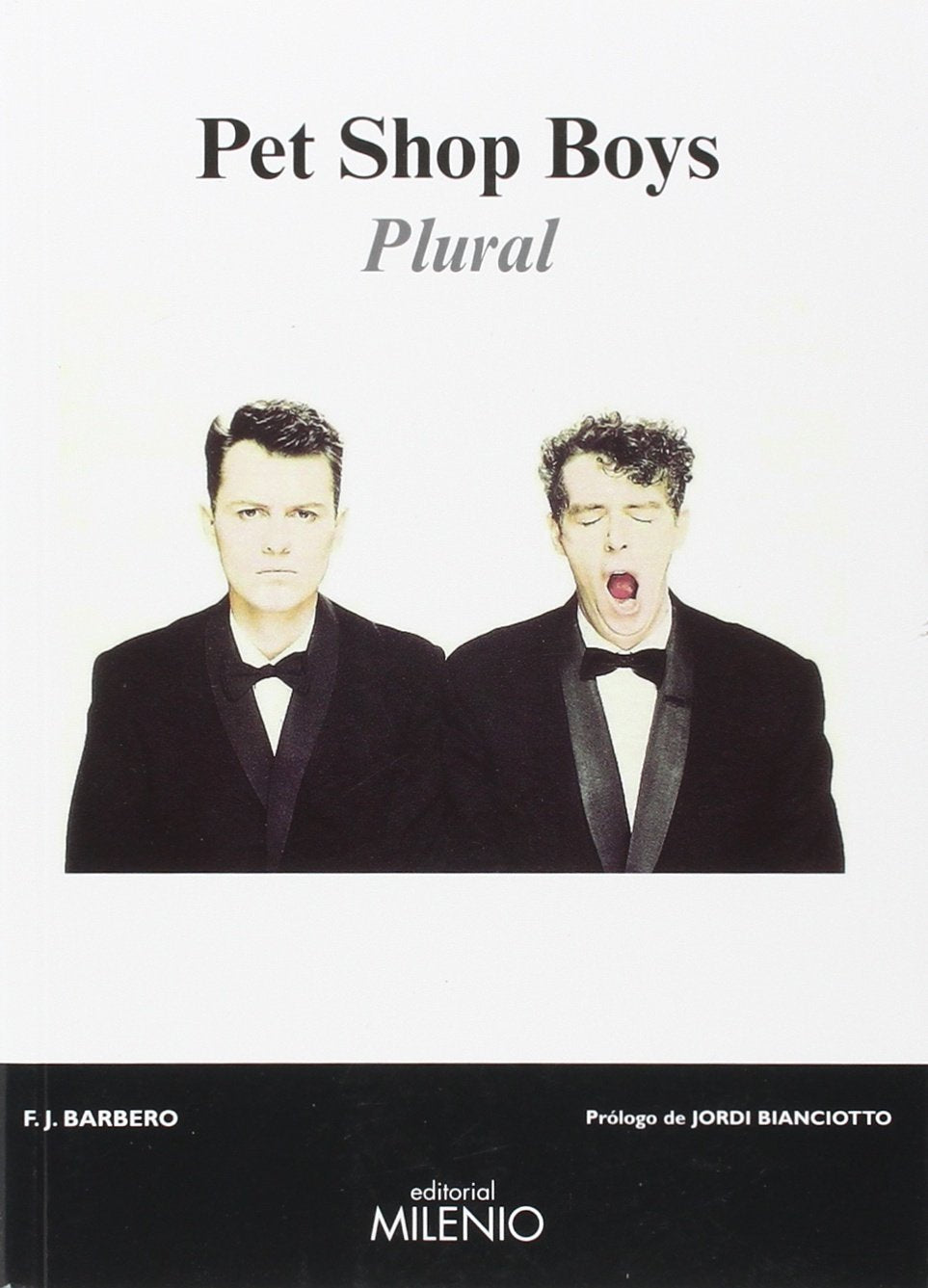 Pet Shop Boys : plural (Música, Band 68) Social Sciences