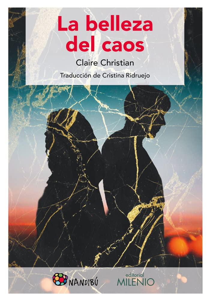 La belleza del caos: Beautiful mess book