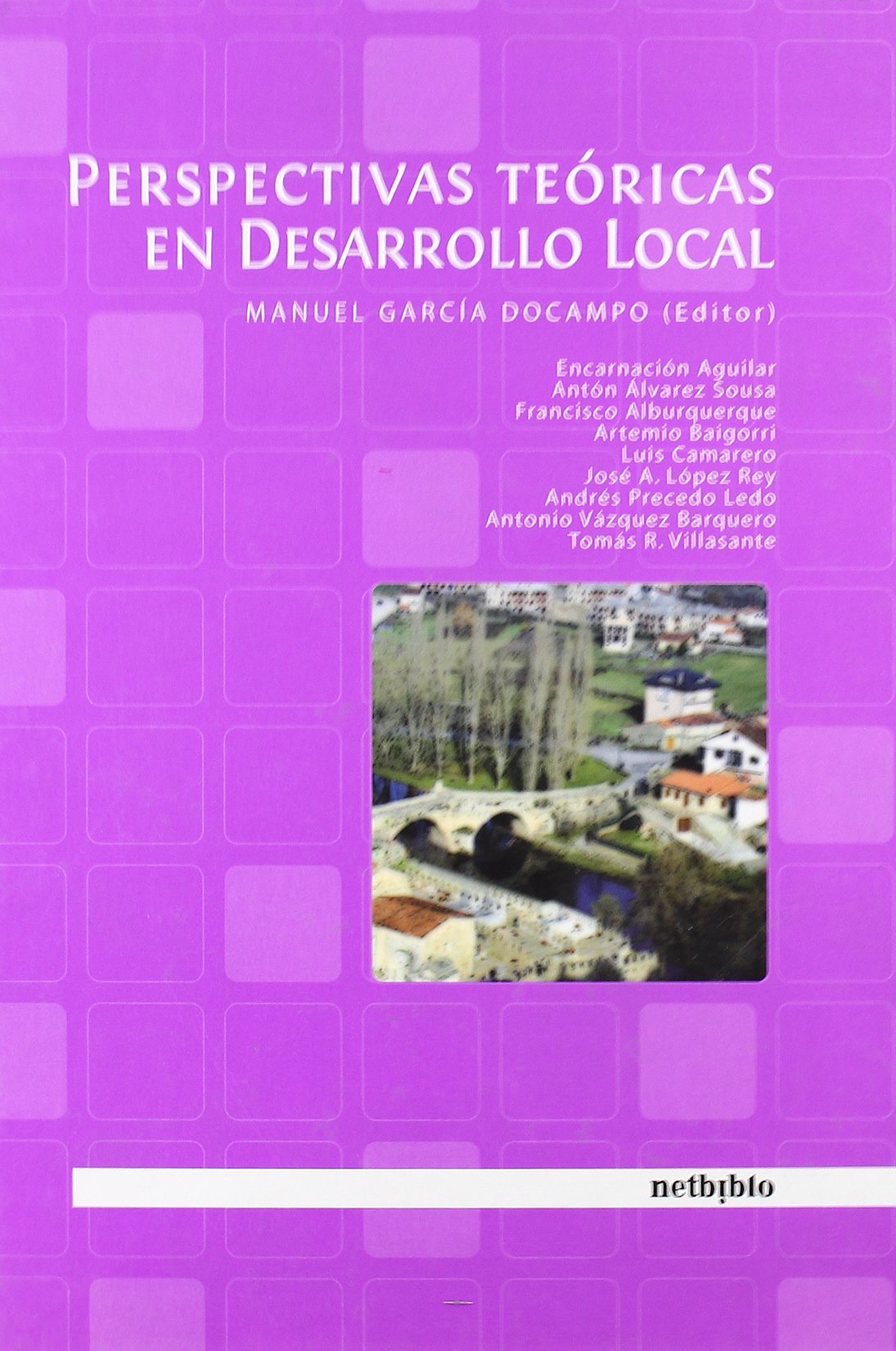 Perspectivas Teóricas en Desarrollo Local. book