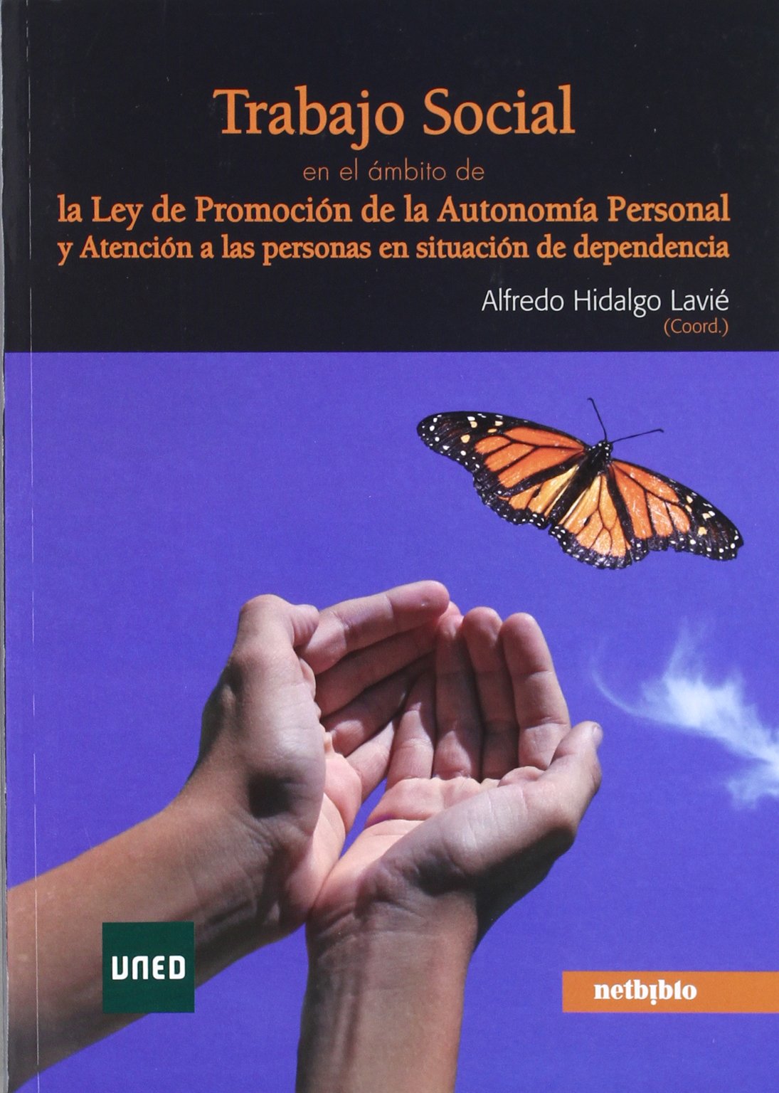 Trabajo social en el ámbito de la Ley de promoción de la autonomía personal y atención a las personas en situación de dependencia : la profesión, la ley y los servicios sociales a debate book