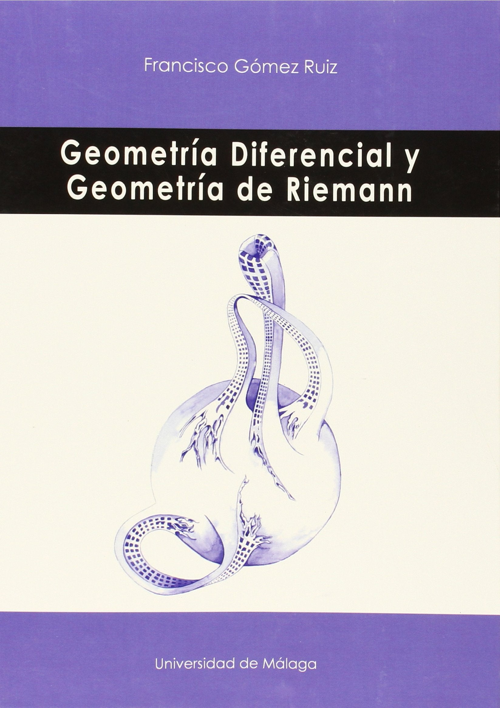 Geometría Diferencial y Geometría de Riemann book