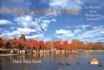 El largo camino lleva a la alegria/A long journey leads to happiness: La practica de la meditacion andando/Practicing meditation while moving Lifestyle