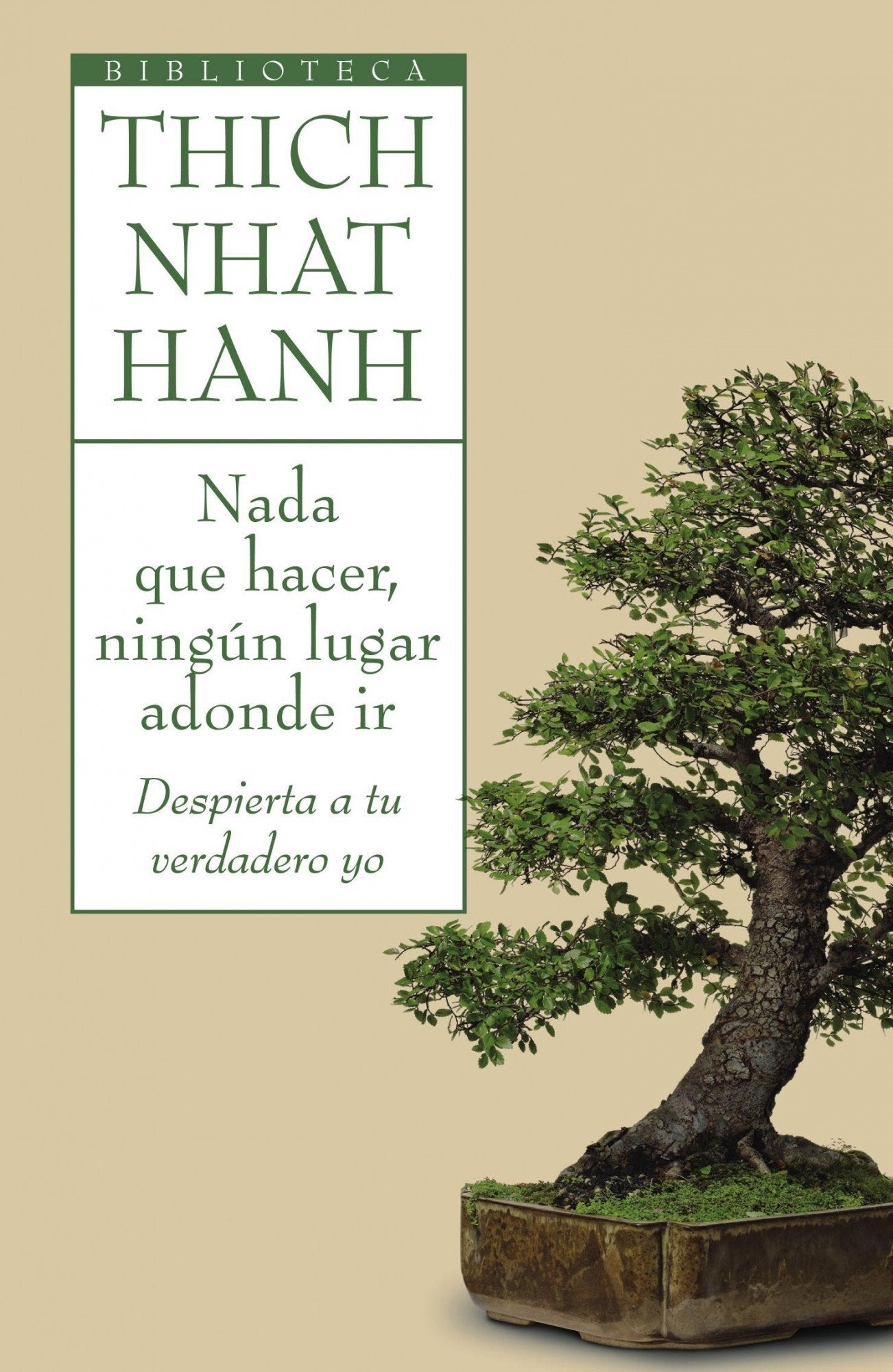 Nada que hacer, ningún lugar adonde ir: Despierta a tu verdadero yo book