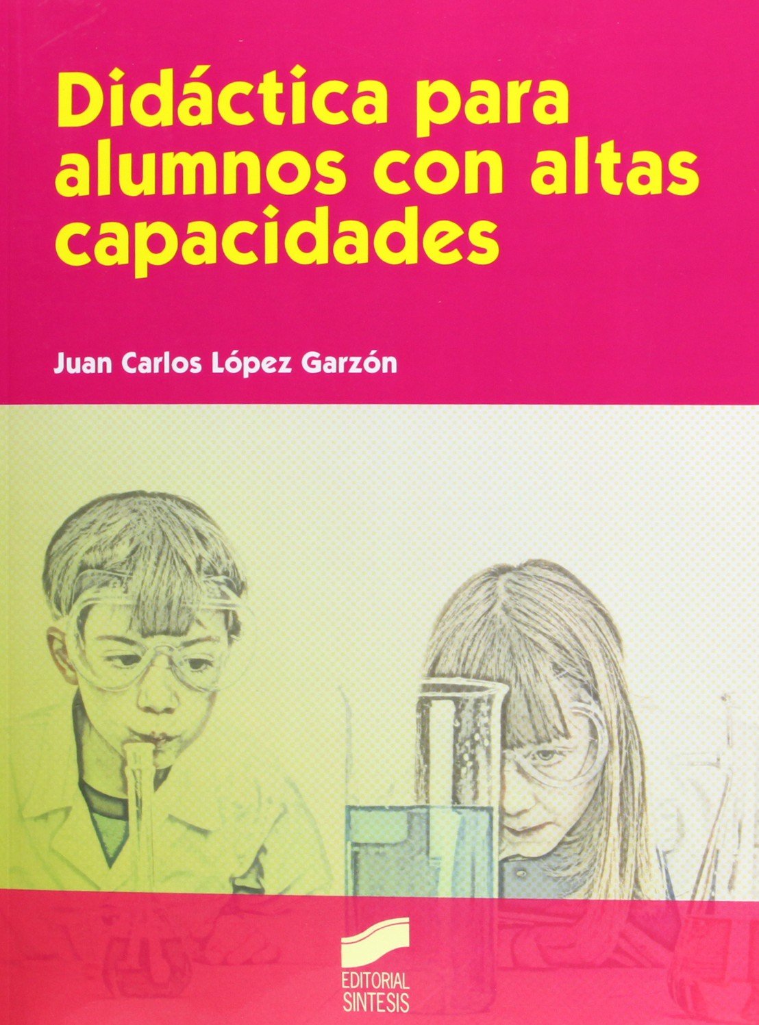 Didáctica para alumnos con altas capacidades book