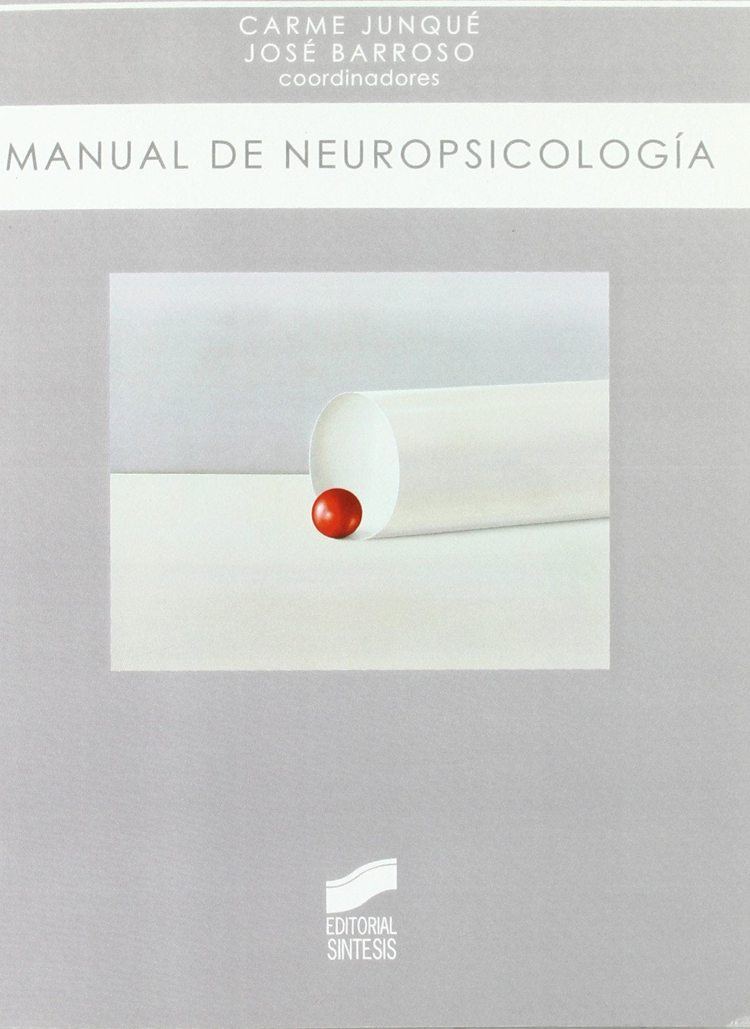 Manual de neuropsicología (Biblioteca de psicología, Band 7) Social Sciences