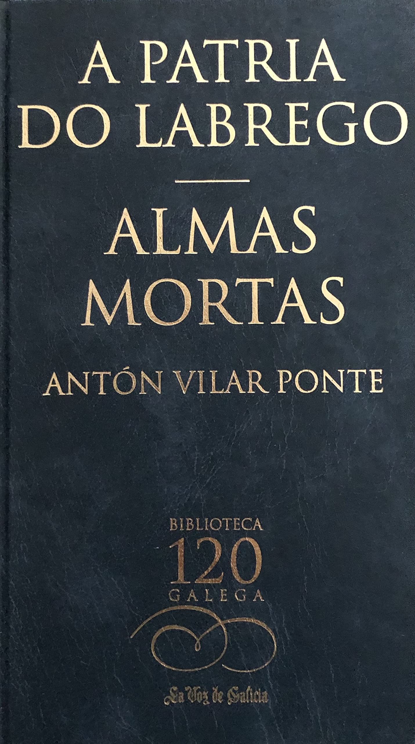 A patria do labrego : Almas mortas book