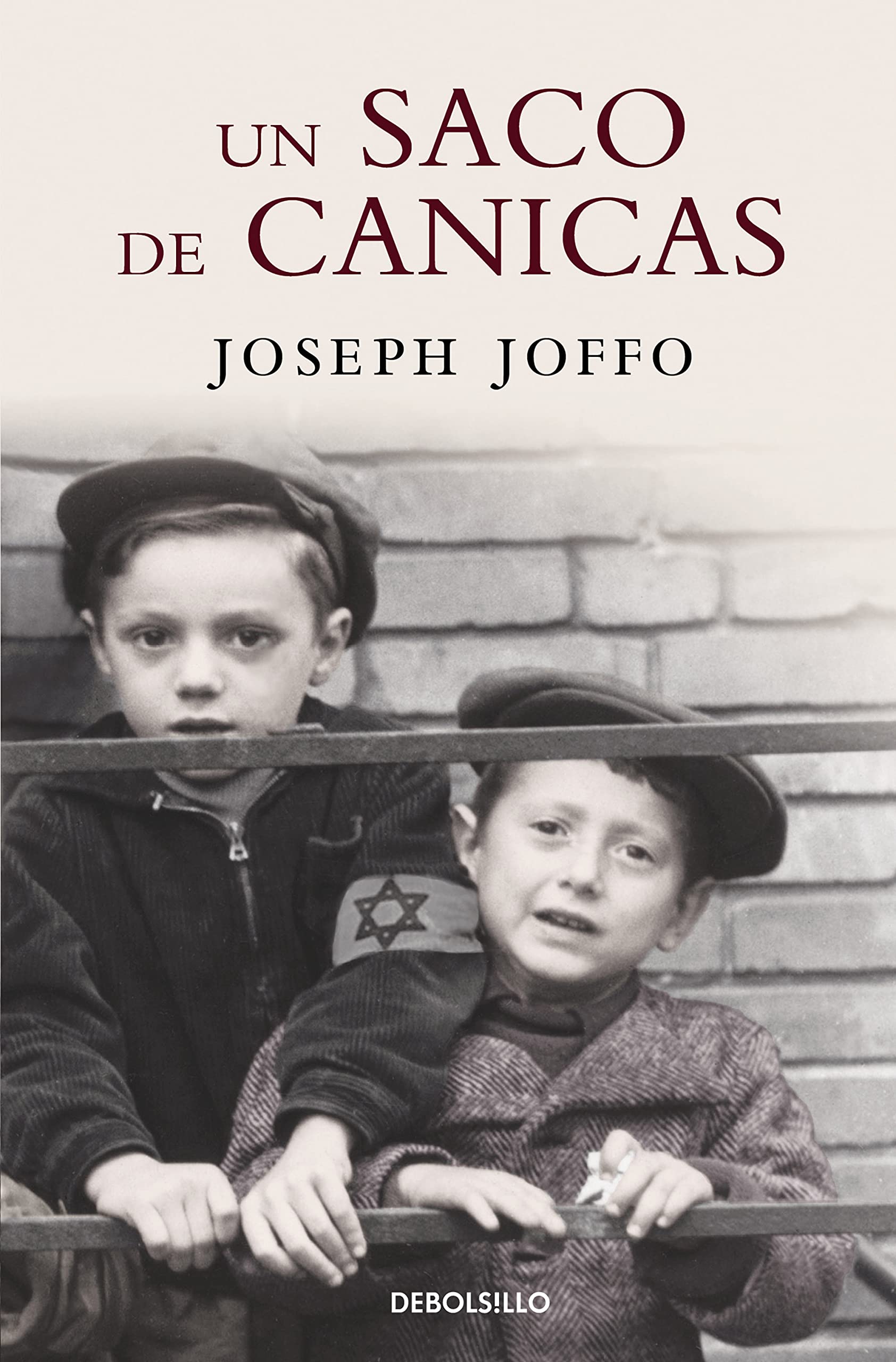Un Saco de Canicas /A Bag of Marbles book