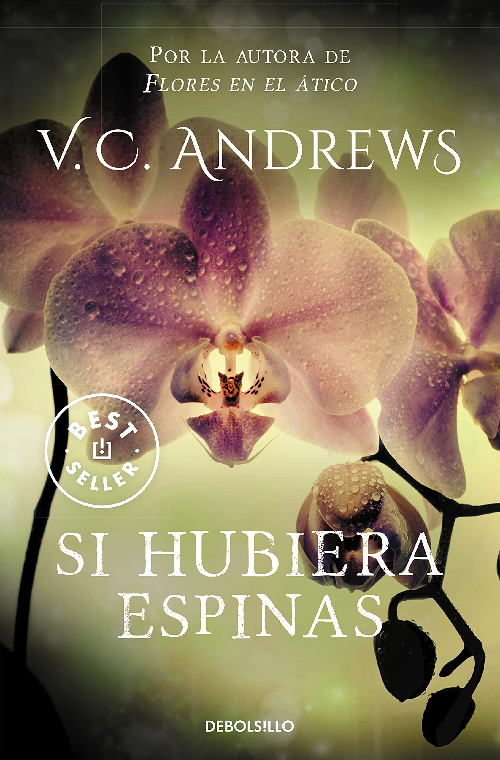 Si Hubiera Espinas / If There Be Thorns Horror & Mystery