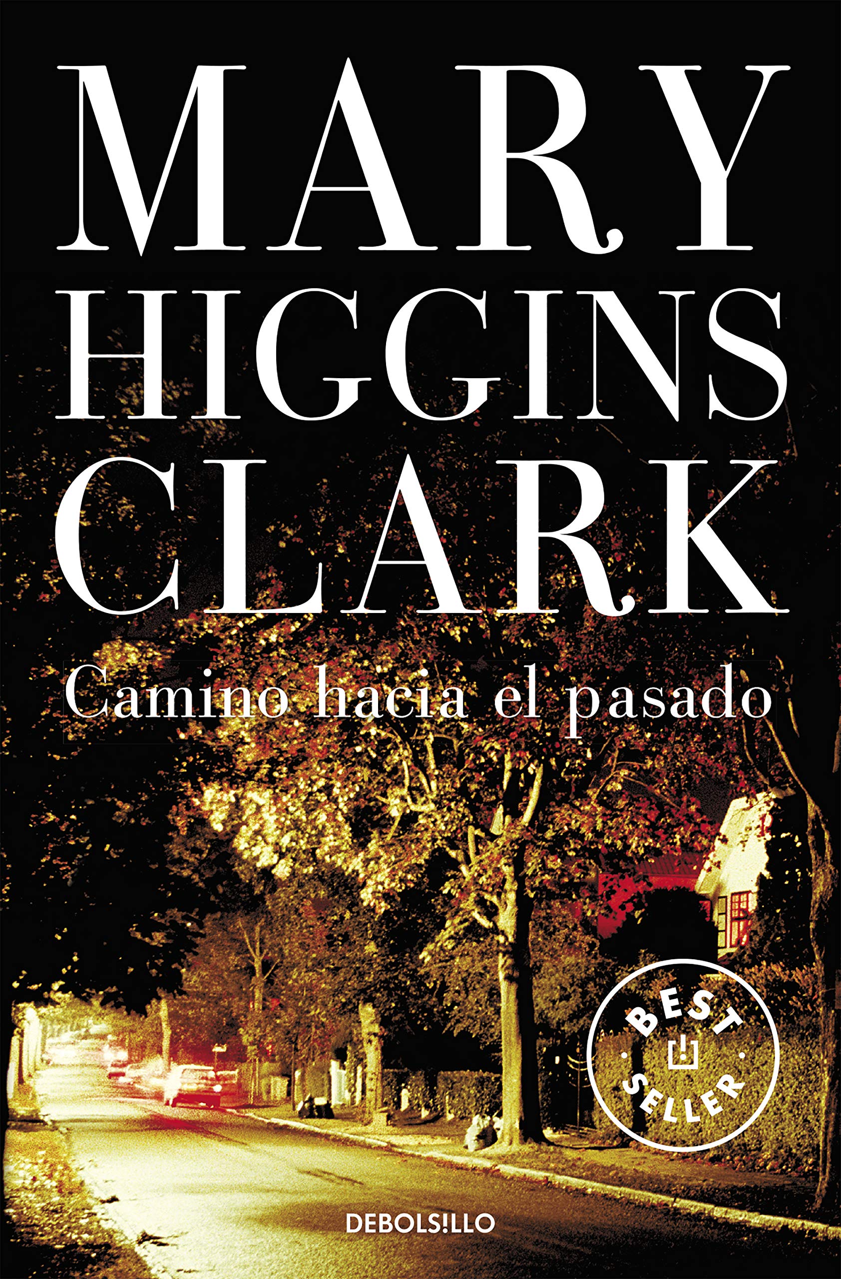Camino hacia el pasado (Best Seller) Social Sciences