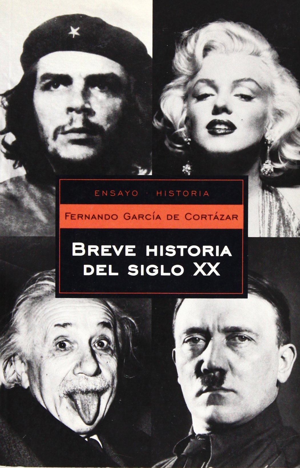 Breve historia del siglo XX/ Brief History of the XX Century (Ensayo-historia/ Essay- History, Band 64) Politics & History